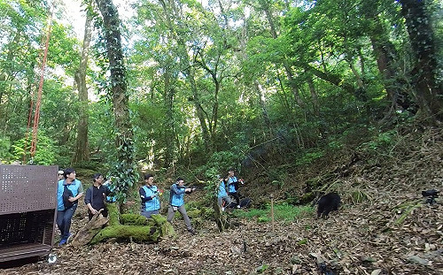 受傷小台灣黑熊「日曼」康復！上午野放重返山林