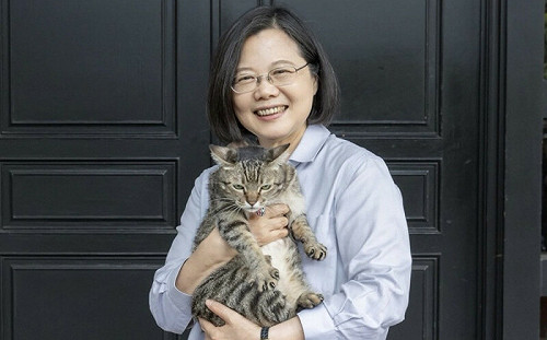 火速更改IG個簽   「以前是蔡教授、現在是畢業的小英總統」