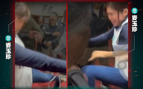 暴力時間序曝光 民進黨揭露:麥玉珍先揮拳攻擊林淑芬
