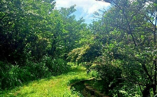 農村隱身市郊！陽明山「湖田里」賞山海交織美景
