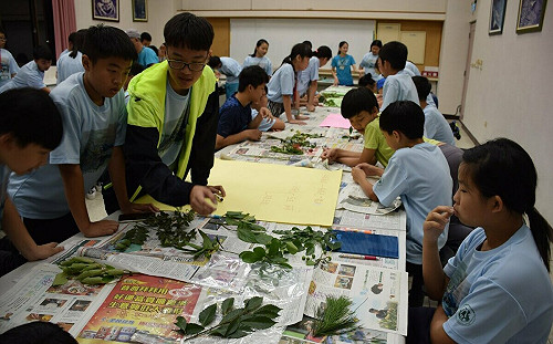 利用暑假探索生物奧妙！「青少年公民科學營」 7/6開跑