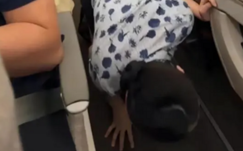 (影) 密袋鼯害旅客全下機! 寵物機艙內落跑 虹橋機場意外 東方航空竟拒道歉賠償