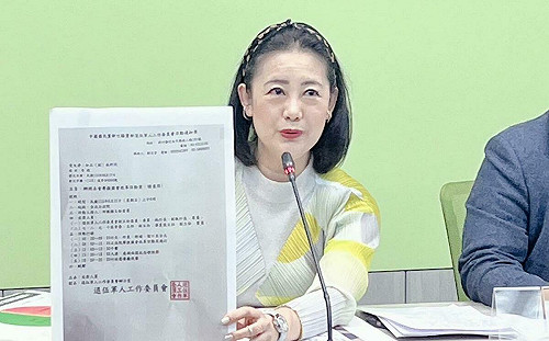 藍喊21日藍鳥集結挺國會改革 綠黨團揭政黨動員「來旅遊」