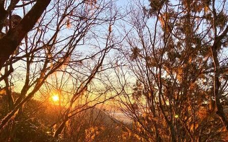 碳費徵收後房價恐飆升？環境部澄清：影響「非常有限」