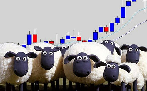 非牛、也非熊! 中國股市進入技術性「羊市」散戶小心被「割韭菜」坑殺