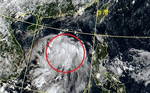 東風波擾動出沒！鄭明典：約20%的颱風由它發展