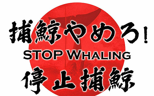 台灣民間團體7/1將赴日本台灣交流協會抗議：要求撤回商業獵捕長須鯨決議