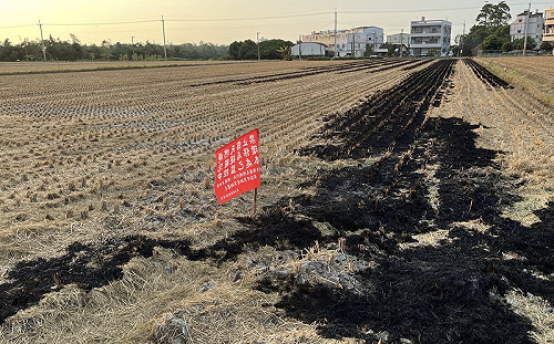 嘉縣制高點AI煙霧探測系統 露天燃燒無所遁形