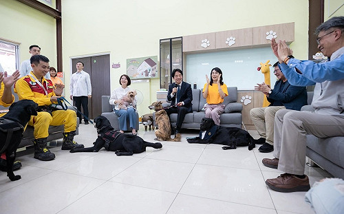領養不棄養！賴清德「確認過眼神」領養米克斯斷肢犬「斑斑」