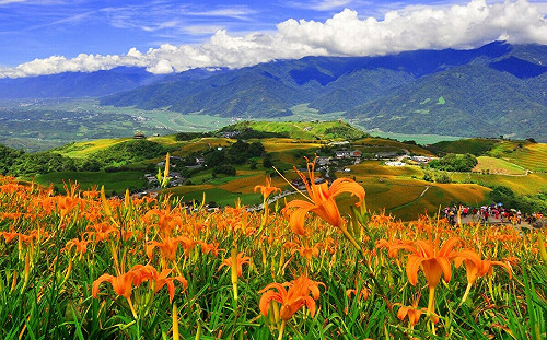 花東住宿補助開跑一個月！觀光署：暑假訂房率仍不到3成