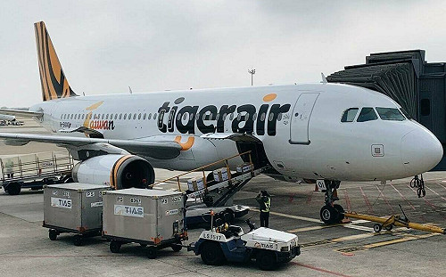 便宜機票飛出國！虎航推全航線77折 限時2天快搶