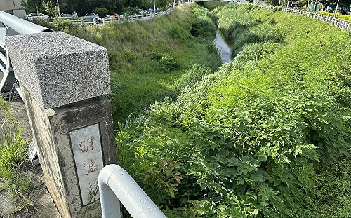 北市府河濱公園修繕費竟挪去舉辦水舞！王欣儀：拿市民安全開玩笑