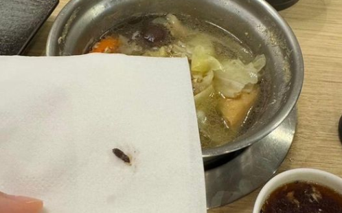 吃火鍋吃到老鼠屎？顧客發燒送急診！衛生局要查了
