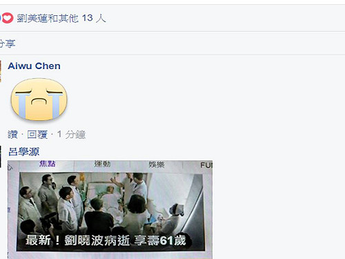 劉曉波離世 民進黨籲中國釋放劉霞、李明哲