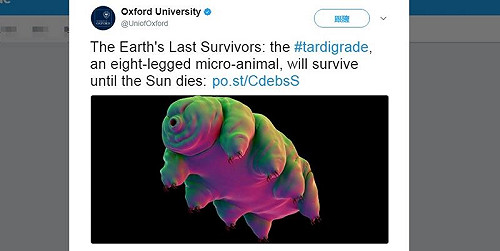 地球若毀滅 這小傢伙命超硬竟能活下來