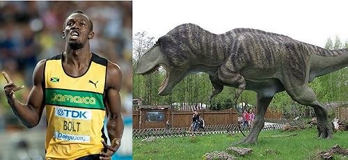 暴龍與閃電波特賽跑 跑贏的竟然是……