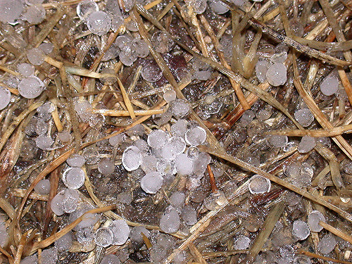 快訊》高雄市民請注意  小心天降冰雹