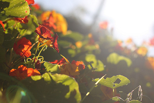 南北氣溫落差大 高屏空品亮紅燈