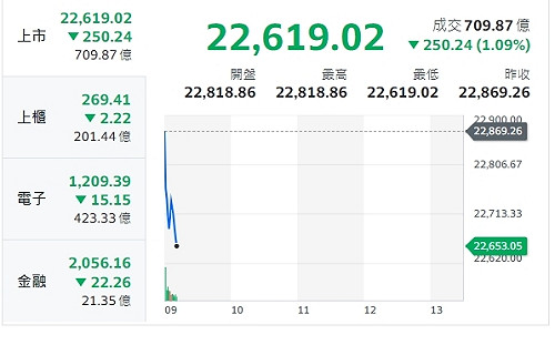 台股開盤》拜登退選 美盤後反彈 台股續走跌