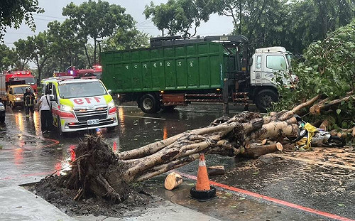 凱米颱風已造成2死201傷路樹災情多! 中央災害應變中心籲避免外出