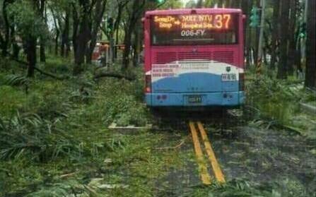 什麼  這張網路瘋傳照片是假的! 北市警查獲謠言散佈者 移送法辦