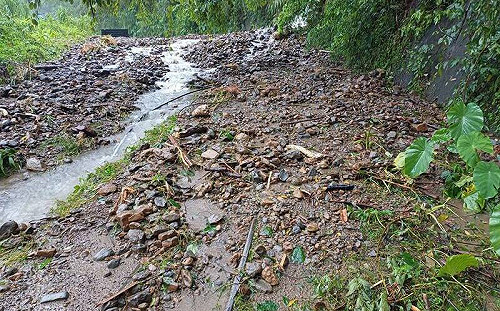 7 月初才復駛！阿里山林鐵土石崩落 89 處 停駛至 8 月底