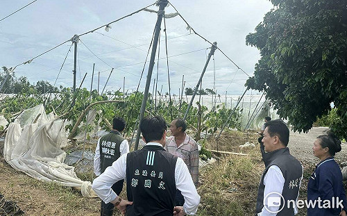 林俊憲赴大內勘查木瓜酪梨災損  籲補助應擴及溫網室等農業設備