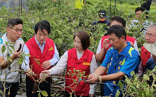 凱米風災後南台灣勘災 賴清德：屏東農損全品項補助