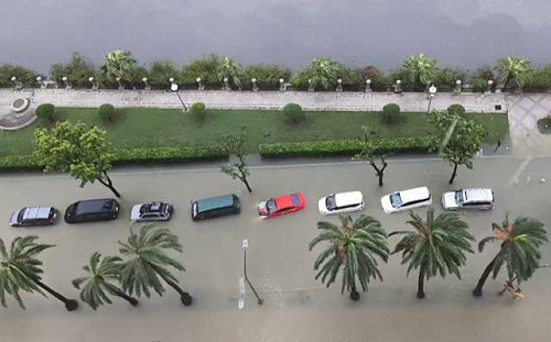 颱風後拖吊業者亂喊價！    高市消保官：違法至少開罰5萬 