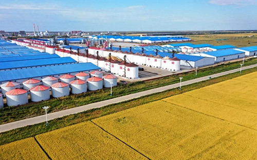 外媒發現不對勁! 中國加速囤糧囤原油 百輛戰車5小時能橫跨台海