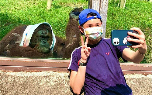 曾圈粉世界球后戴資穎 壽山動物園紅毛猩猩「咪咪」辭世