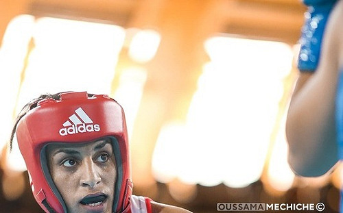 引發性別風波 奧運義國退賽女拳手向對手致歉