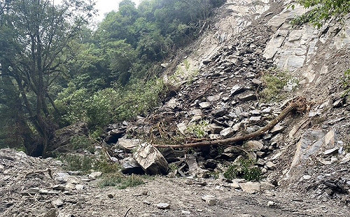 雪霸公園大鹿林道東線坍方 道路中斷待搶修