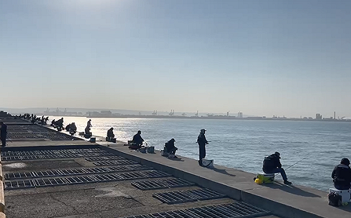 全台7商港開放免費垂釣區！港務公司：7個月14萬人次進場