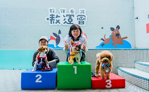 「好伴bàn毛孩嗷運會」高雄登場！汪星人泳汪直前拼獎牌