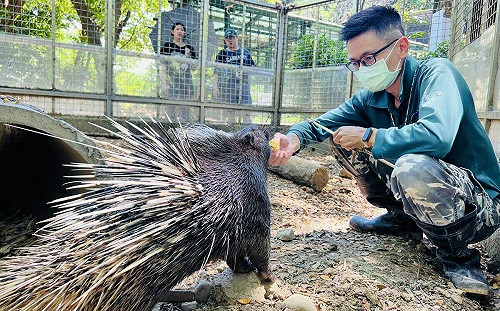 嚴正駁斥議員不實指控 壽山動物園:動物照護嚴謹、認養經費公開透明
