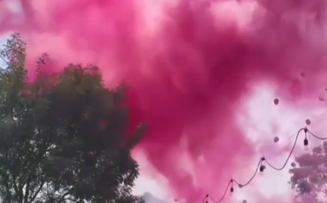 性別趴粉色煙霧直竄天際！環保局認違法  最重可罰500萬