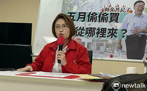 陳佩琪曝買商辦明細  林延鳳提五疑點：從頭到尾都在騙！拿出匯款單很難？