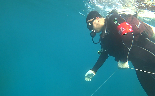 改善海底生態！彭啟明下海清海底覆網：已清除80公斤