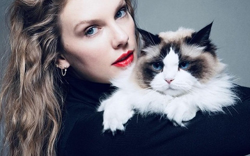 泰勒絲發文挺賀錦麗！自稱「沒小孩的貓女士」反擊共和黨