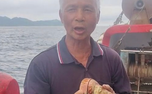 罕見活化石「龍宮貝」12萬賣出！漁民今晨「履約放生」