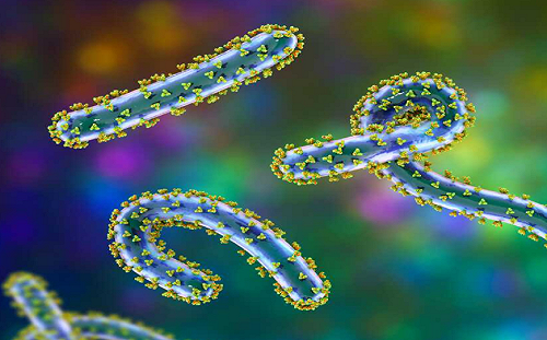 2人疑感染馬堡病毒! 德漢堡主火車總站緊急封鎖 同車載有200乘客