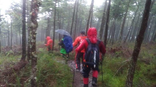 台中山友迷路獲救  平安送抵登山口