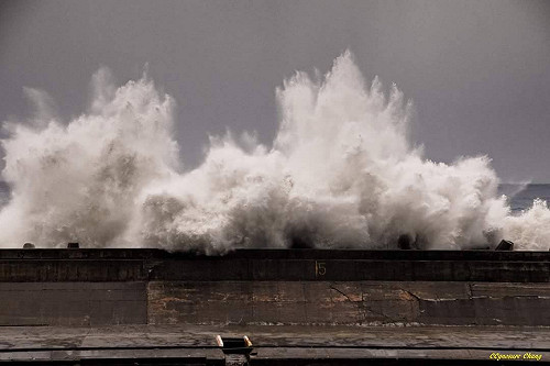 不斷更新》海棠帶大雨 31日上班上課總整理