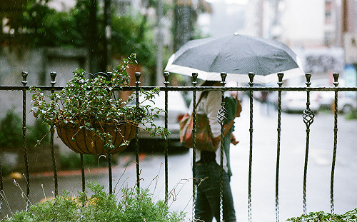 海棠引進西南氣流  南台灣豪雨特報