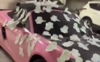 高雄女保時捷被貼滿衛生棉 竟是自導自演挨罰