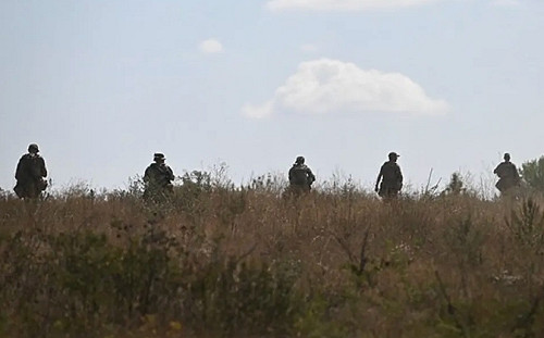 (影) 庫爾斯克森林掩護! 烏突擊旅摧毀俄裝甲車 俄軍正包圍庫拉霍沃