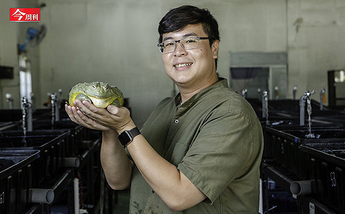 獸醫系畢業生逆襲記！不顧爸媽反對創業養蛙 6年衝出3千萬年營收、全美市占7成：熱情也能變賺錢生意