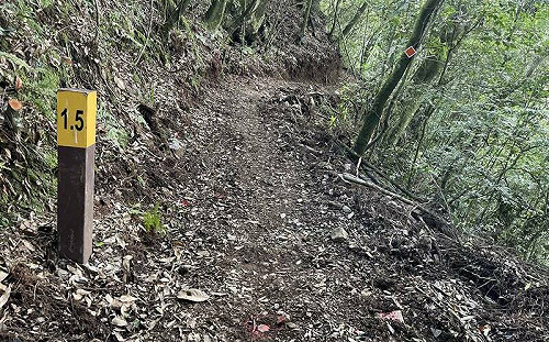 能高越嶺屯原登山口多處崩塌！林業署：確定無法修復