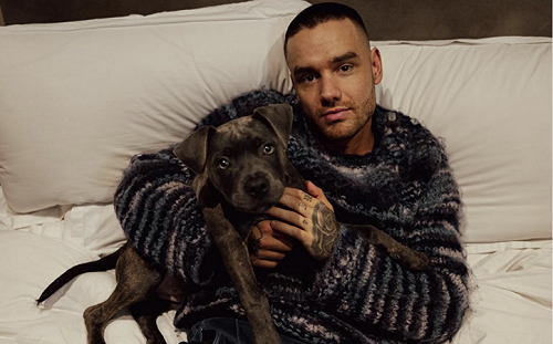 「一世代」連恩佩恩墜樓生亡  墜樓前行為怪異